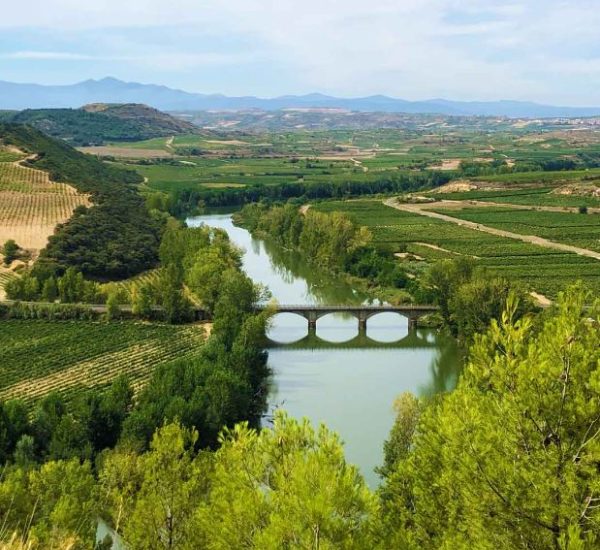 Bodega Otero y Ruiz de Alegría