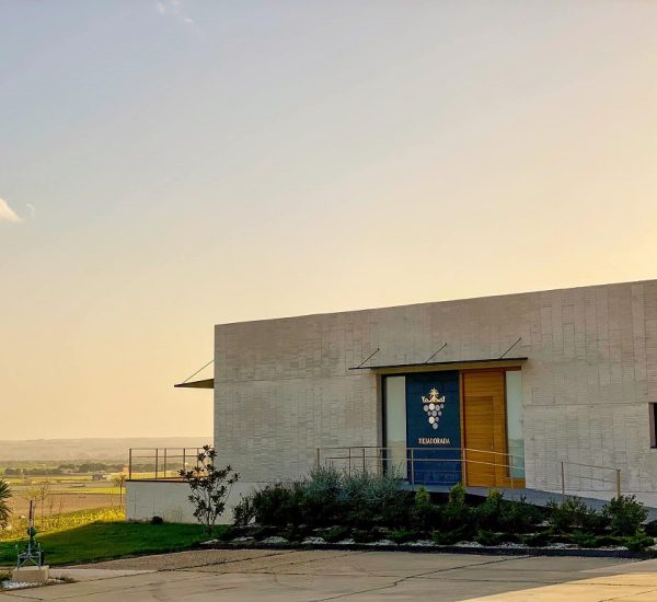 Bodega Rejadorada