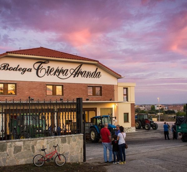 Bodega Tierra Aranda