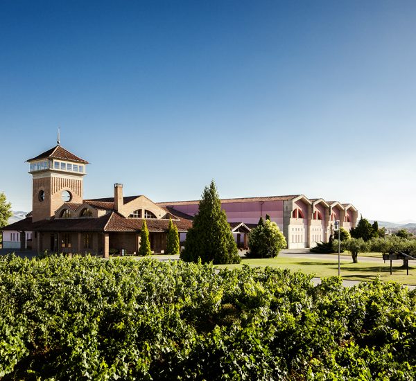 Bodega-Vina-Ijalba