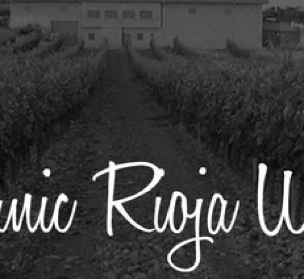 Bodega jalon vino organico