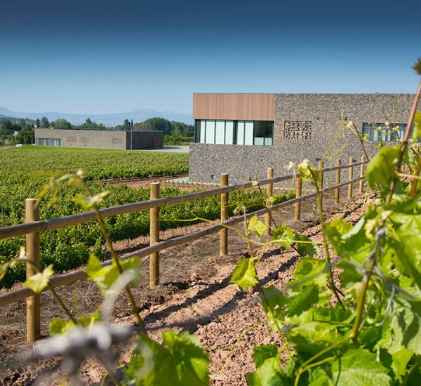 Bodega-proelio-fachada