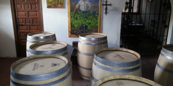 Bodega y Viñedos
