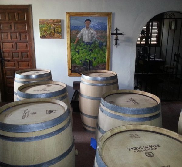 Bodega y Viñedos
