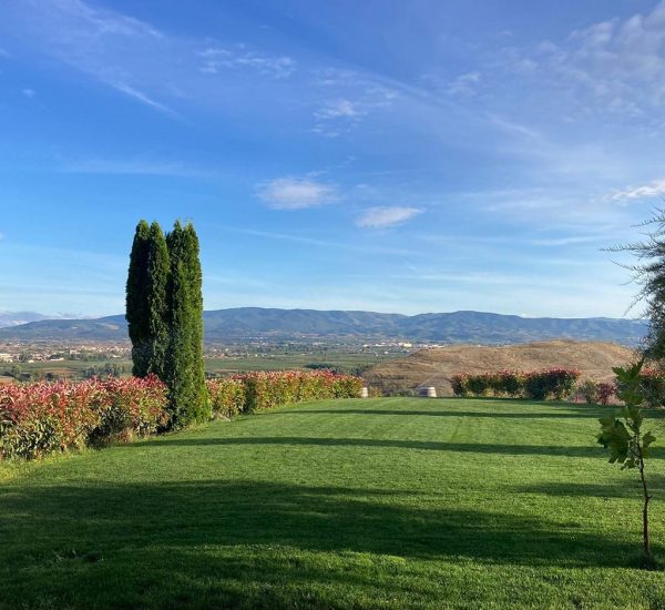 Bodegas Ayagar