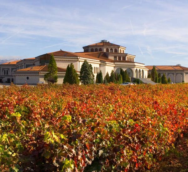 Bodegas Campillo