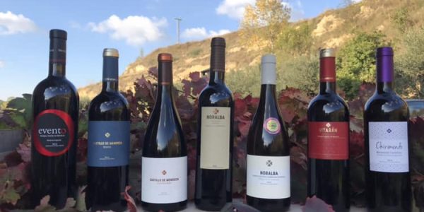 Bodegas Castillo de Mendoza