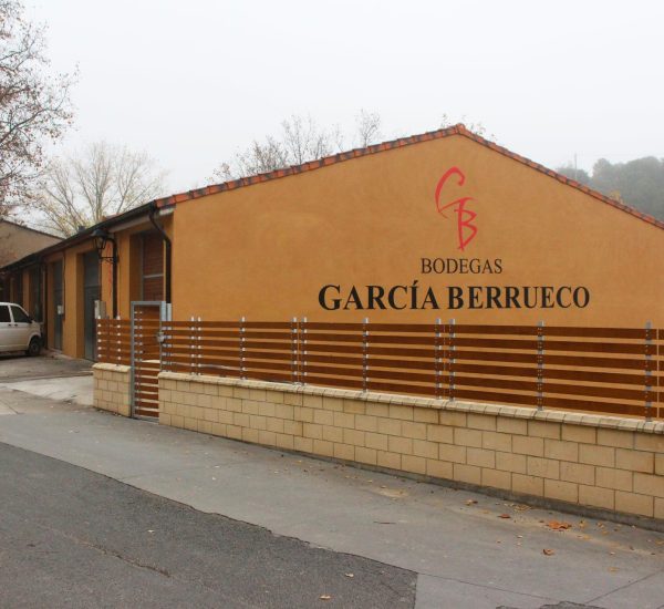 Juan José García Berrueco