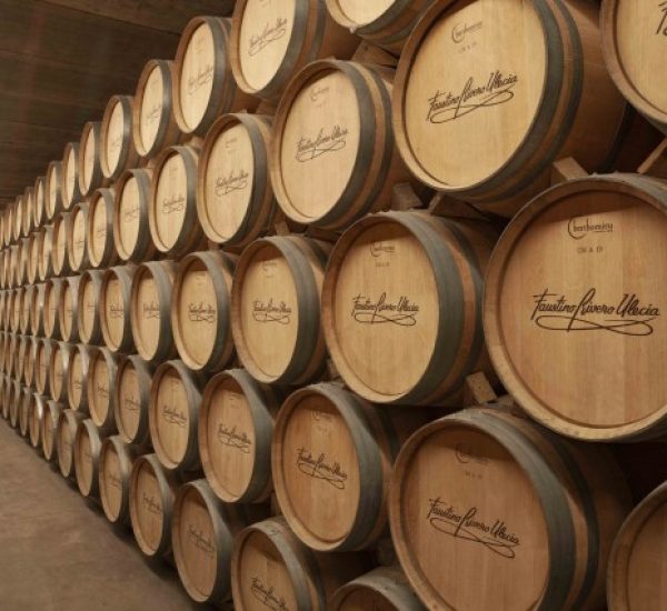 Bodegas faustino rivero ulecia barricas