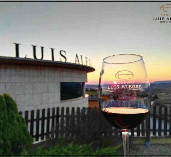 Bodegas luis alegre fachada