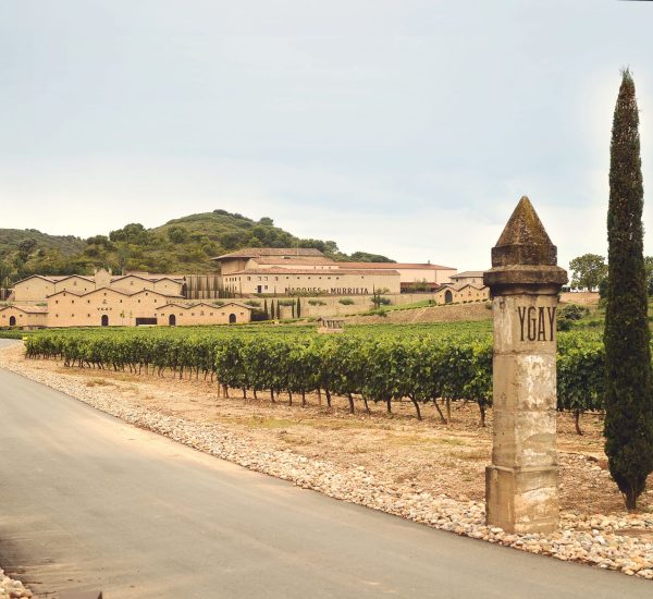 Bodegas Marqués de Murrieta