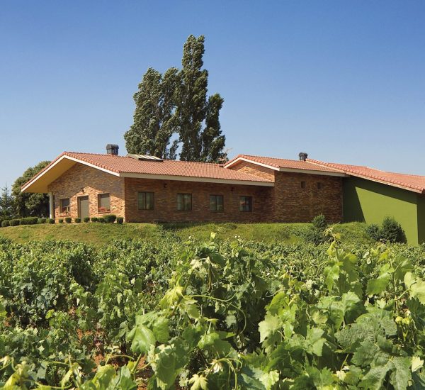 Bodegas pascual larrieta fachada