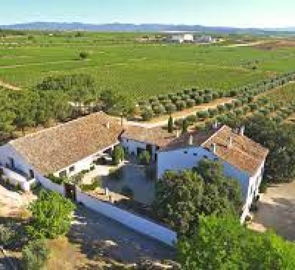 Bodegas Gandía