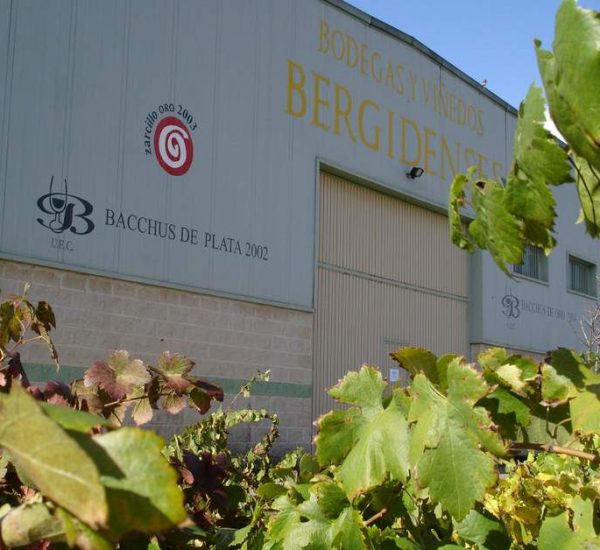 Bodegas Y Viñedos Bergidenses,S.A.T. instalaciones