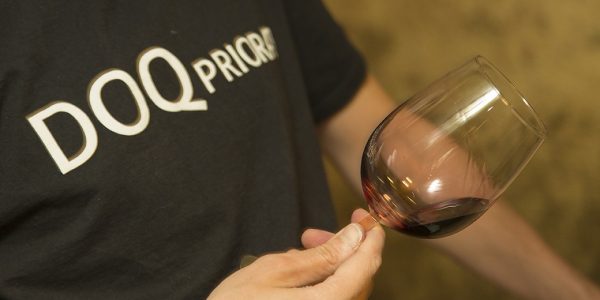 Cata Vinícola del Priorat