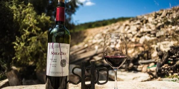 Cata de 4 vinos