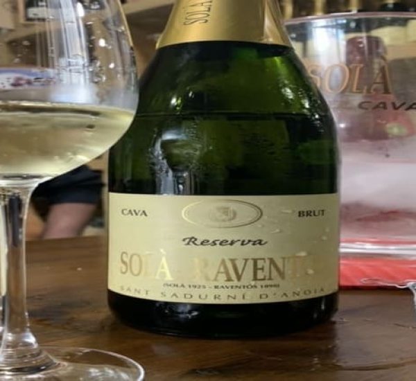Cata de Cavas Premium