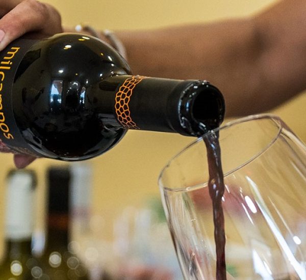 Catas de Vinos