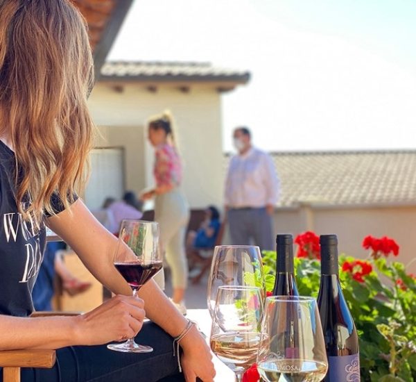 Club de Vinos