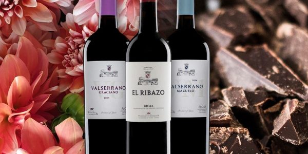 Como Vino Para Chocolate