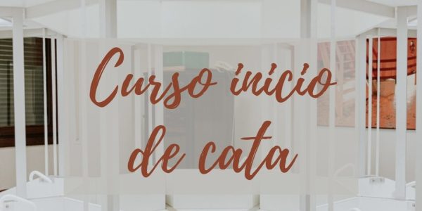 Curso Inicio De Cata