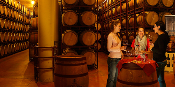 Curso de Cata de Vinos
