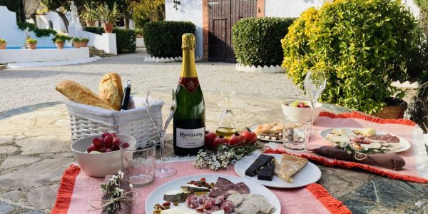 Desayuno en El Jardín Modernista y Visita a La Bodega