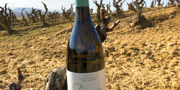 Disfruta Rioja