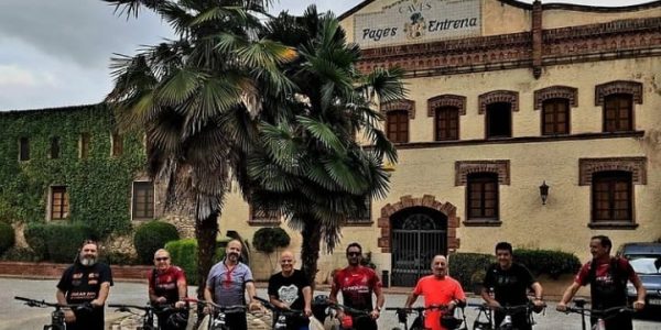 Ebike entre viñedos