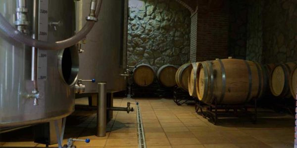 El Celler y el Vinos