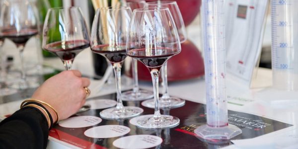 El taller B-Winemaker