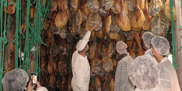 Enogastronómica