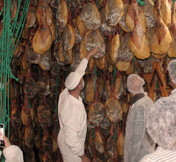 Enogastronómica