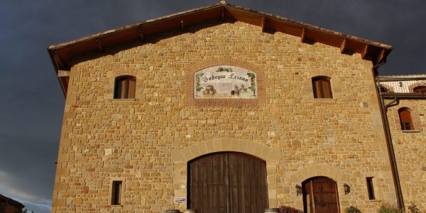 Enoturismo, Visitas Guiadas