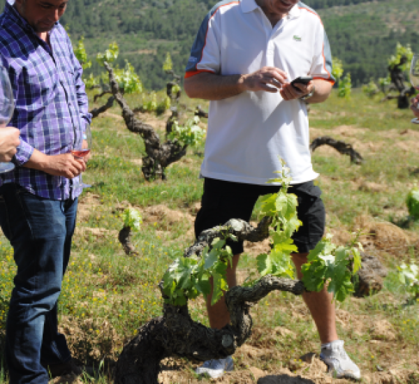 Enoturismo para Conocer La Viticultura Orgánica y Creativa