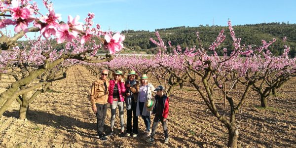 Equilibrio entre Melocotón de Ordal y Cava del Penedès a Cuscó Berga