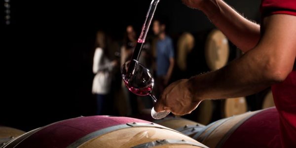 Exclusive Wine Experience