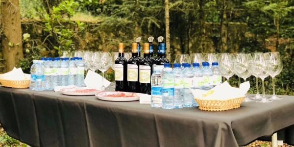 Experiencia Picnic en el viñedo