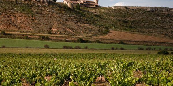 Experiencia Valle de Atauta + Degustación Gourmet