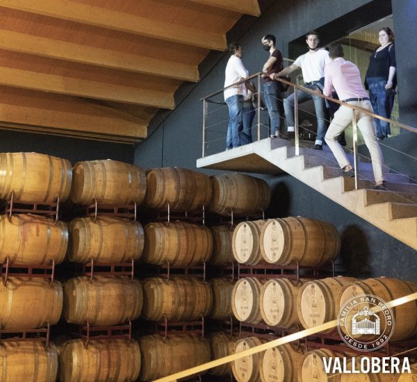 Experiencia enoturismo «Graciano»