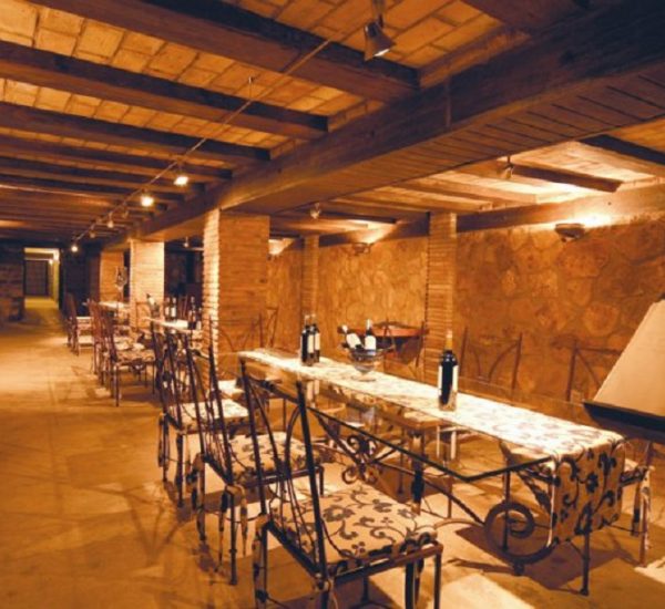 Experiencia enoturismo «Tempranillo»