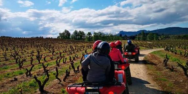 Experiencia entre Viñedos, Visita a La Iglesia Románica y Cata.