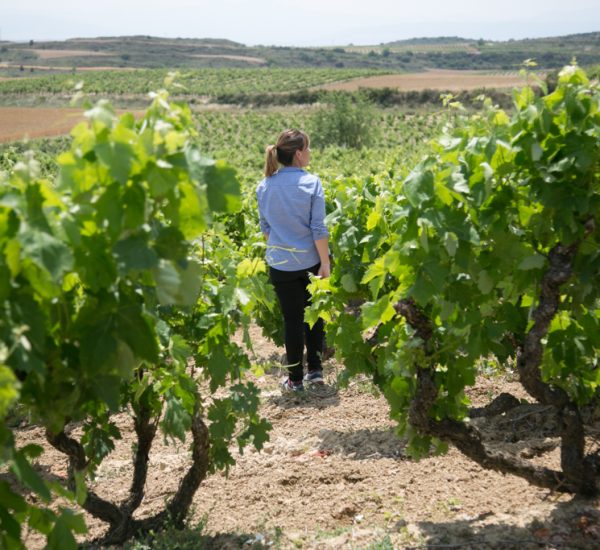 Pretium Bodega
