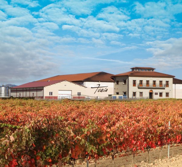 Bodega Tobia