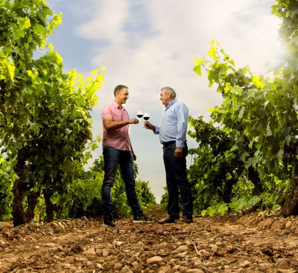 Bodegas Viñas Berneda