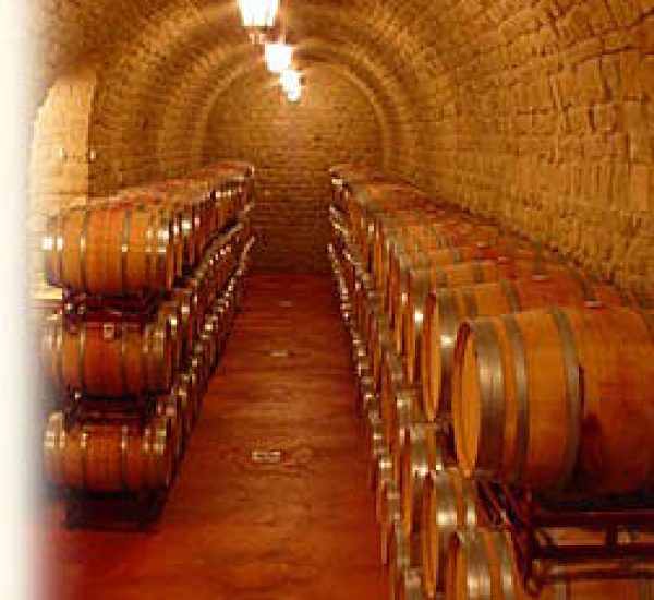 Bodega Torre San Millán