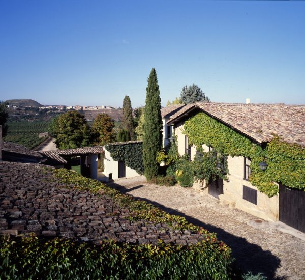 Viñedos del Contino