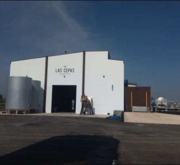 Bodega Las Cepas