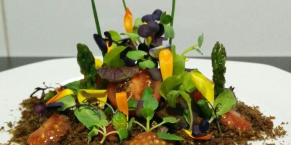 Menú Brotes de Portia