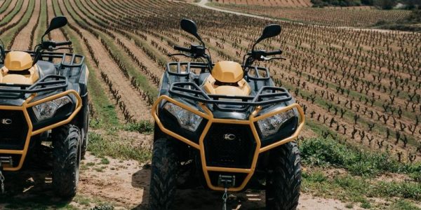 Multiaventura + visita a bodega